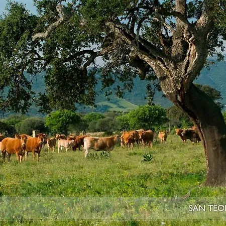 Li Teggi Turismo Rurale San Teodoro (Sardinia)