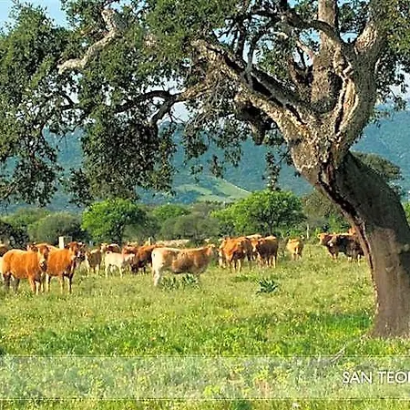 Li Teggi Turismo Rurale לינה וארוחת בוקר