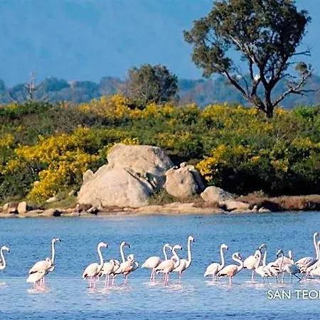 Li Teggi Turismo Rurale לינה וארוחת בוקר