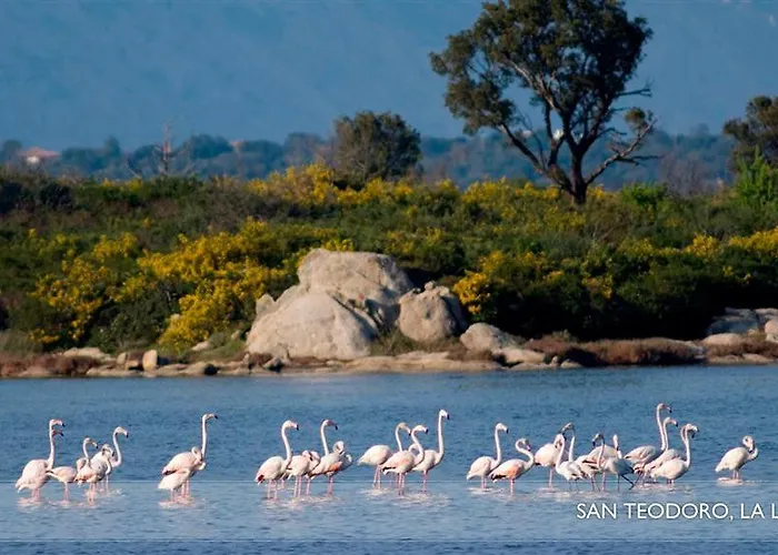 Li Teggi Turismo Rurale