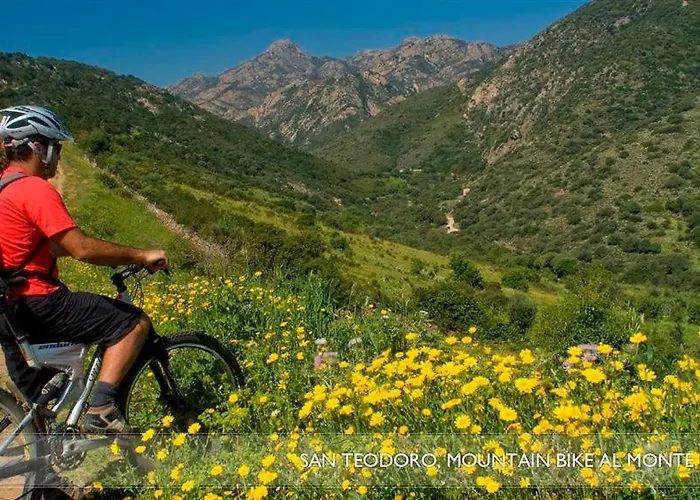 Oda ve Kahvaltı Li Teggi Turismo Rurale San Teodoro (Sardinia)