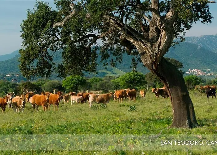 Li Teggi Turismo Rurale San Teodoro (Sardinia)